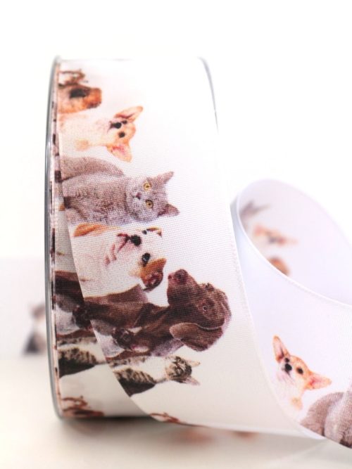 ribbon for dogs and cats, 40 mm